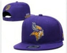 Minnesota Football snapbacks