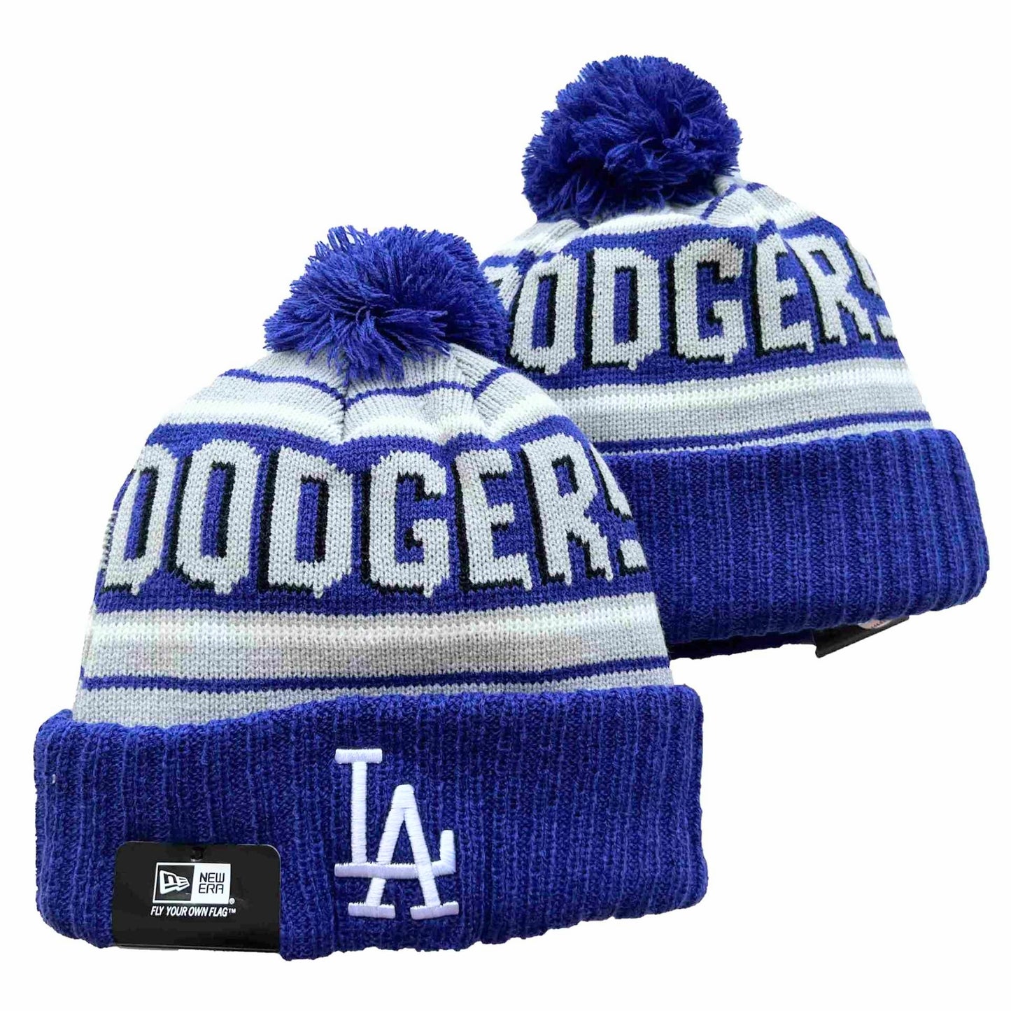 LA Baseball Winter Hat 2